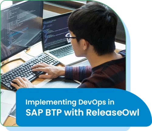 SAP BTP with ReleaseOwl SAP BTP with ReleaseOwl