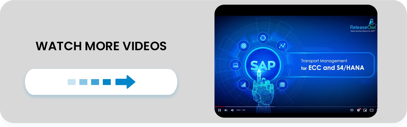 ECC - S4 HANA Video ECC - S4 HANA Video