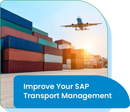 SAP Transport Management SAP Transport Management